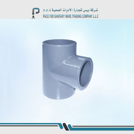 Pace sanitary ware