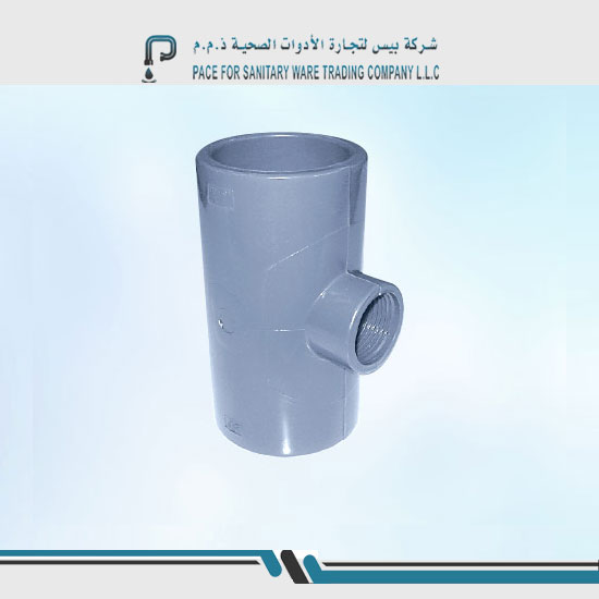 Pace sanitary ware